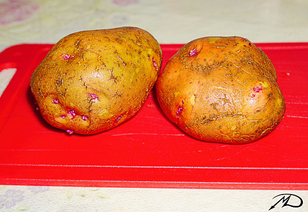 картошка02