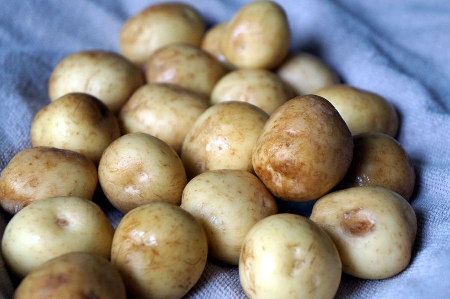 картошка-свежая