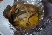 палтус-мини